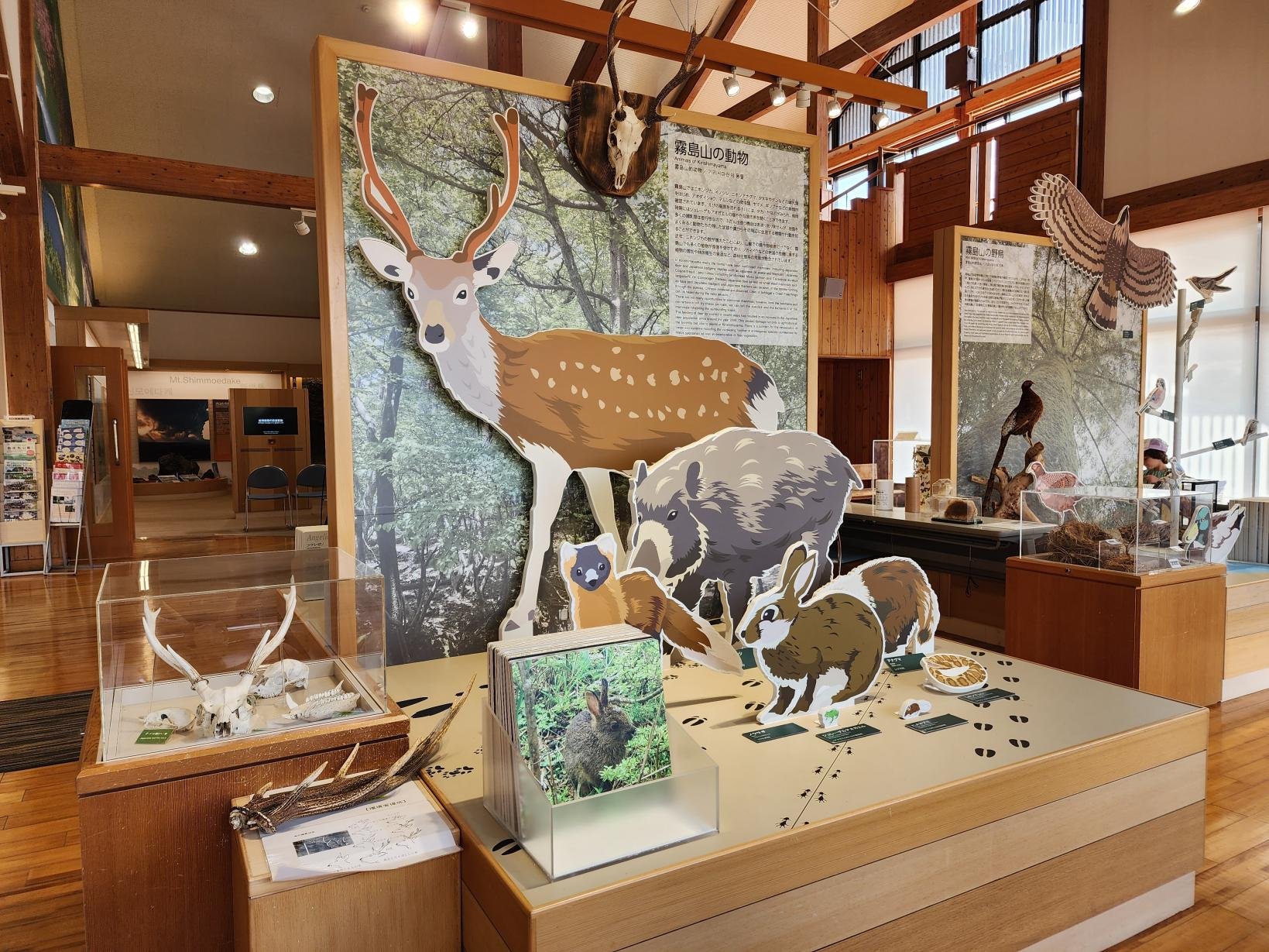 🏞️ 에비노 생태 박물관 센터(에비노 에코뮤지아무센타) 이미지 4